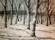 Daniella's Winter Forest 30"x40"