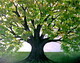 Nela's Tree 16"x20"