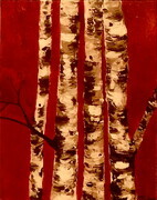 11"x14"  Birch on Red