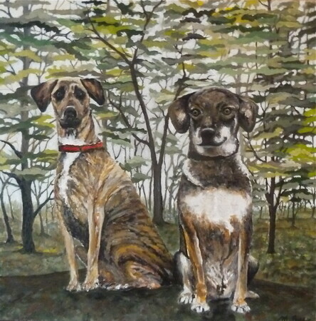 The Boys in Cottage Country  20"x20"